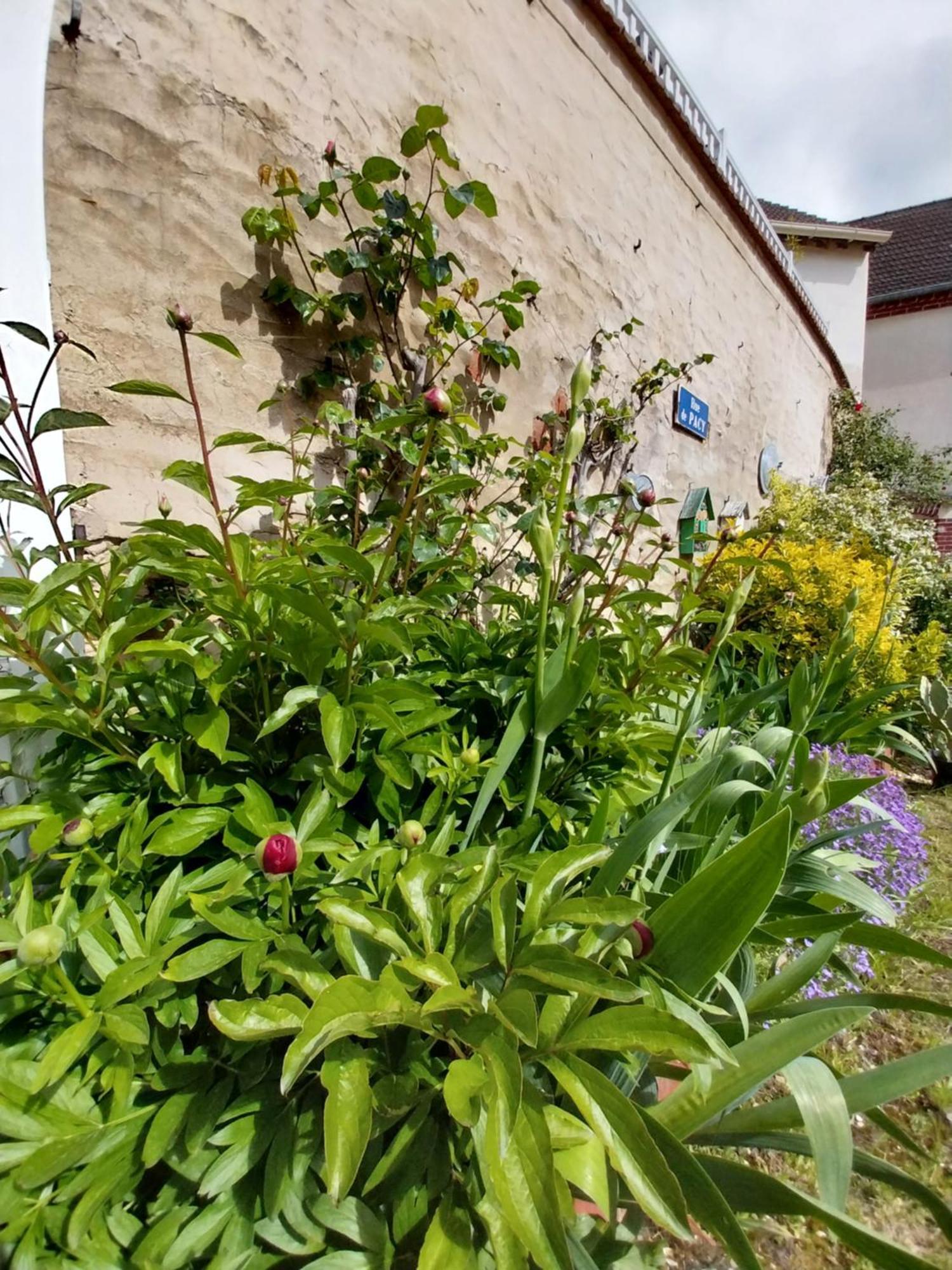 La Petite Maison Gasny Ngoại thất bức ảnh